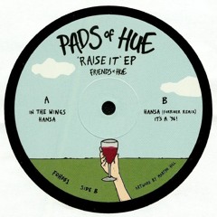Pads Of Hue - 'Raise It' EP *Out 15th Feb 2019
