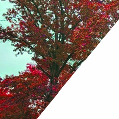 offbeat - i.s.h.h.f.a.m.s (3two flip)