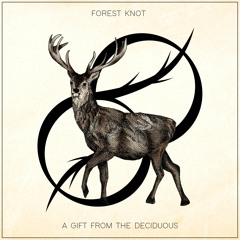 Forest Knot - A Gift From The Deciduous