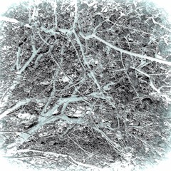 Ekko Noise - Sketch 1