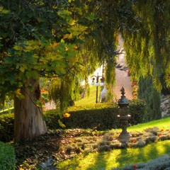 The Blessing Of Homelessness