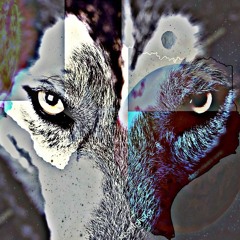 Wind ResistANT [Prod. Blaezwulf]