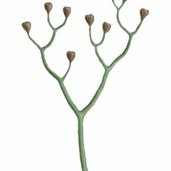 Dries Roeivink & Rolluik (roeiluik) - We Hoeven Geen Peuken Meer Te Halen