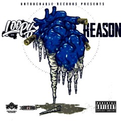 Reason- Loopy