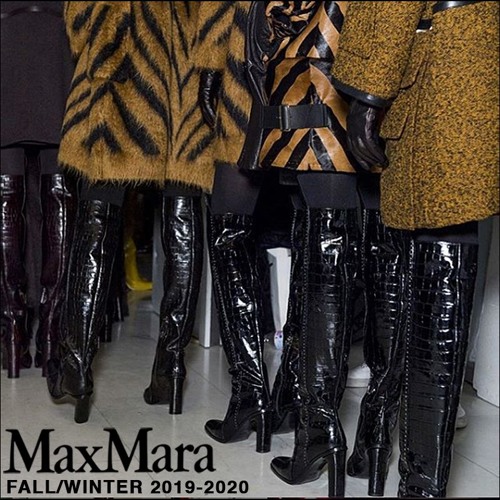max mara knee high boots