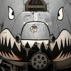 ThunderBolt(A-10)