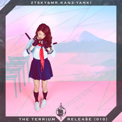 ZTSky & Mr. Kan3 - Yanki