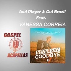 Soul Player & Gui Brazil Feat. Vanessa Correia - Never Say Goodbye (Studio Acapella)