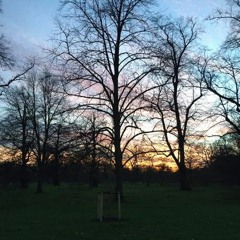 Paintings In A Park - Original Piano Composition
