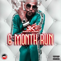 6 Month Run (feat. Ralo) (Remix)