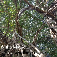 Liz Anima – White Magic - Recognize The Intervals (Progressive Psytrance)
