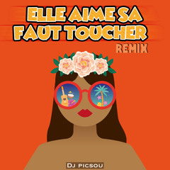 DJ PICSOU - ELLE AIME SA REMIX BOUYON 2019