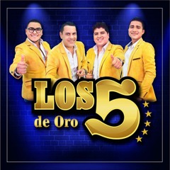 106 Los 5 de Oro - Mix La Gorda (Dj PepO) Animacion Rmx