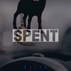 Blieu - Spent