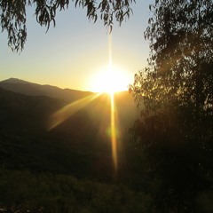 Nocturnal Beats (AUKAN 2019)