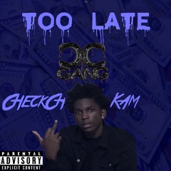 CheckChaser Kam- Too Late (Official Audio)