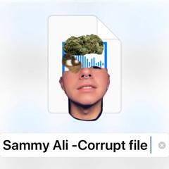 Corrupt File (Prod. Zel of NewWav)