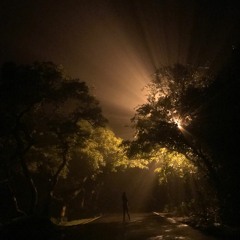Colour Haze - Turns (Cover by Devansh & Advaith)