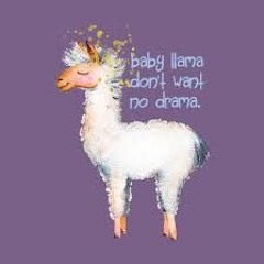 Whats A Baby Llama Called