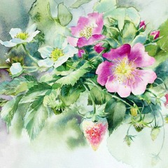 ซ่อนกลิ่น - PALMY