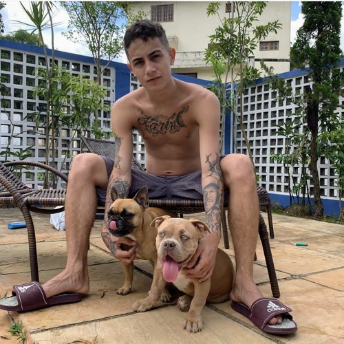 Mc hariel - milionários