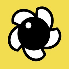 Brisk and guests across the  Galaxy Network (radio shows)