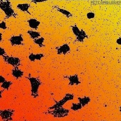 Whole - Heartedly Half - Assed