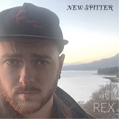 Jay-Z - 30 Something (REX - New Spitter Remix)