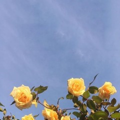 Wear Your Love Like Heaven - Donovan (Slowed)