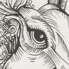 Neill Moore "Platonic" sample