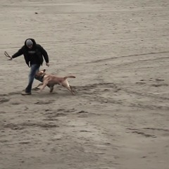 Нигатив - Дождь