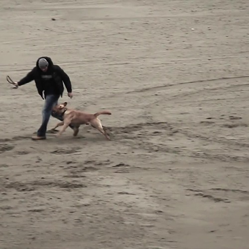 Нигатив - Дождь