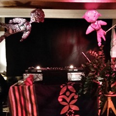 vik @ private party 16.02.2019