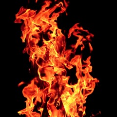 Wildfire - SUBODH SU2