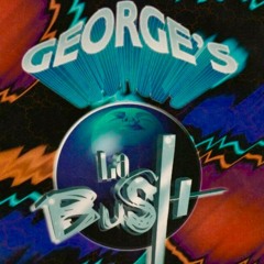 La Bush 1996 - George's & Laurent Top