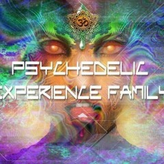Psychedelic Experince 28.2 - 1.3