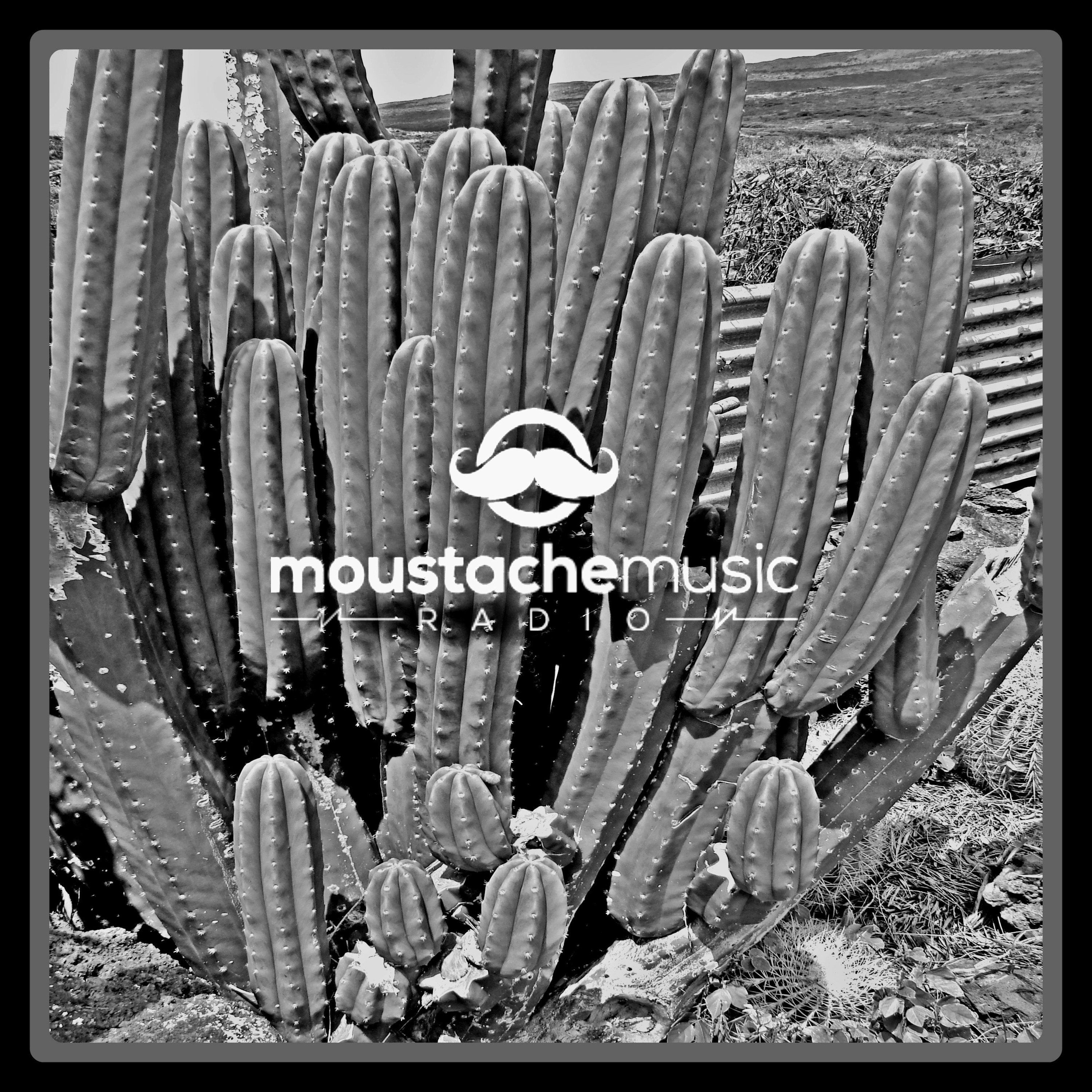 MoustacheMusic