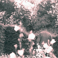 $B- Memories