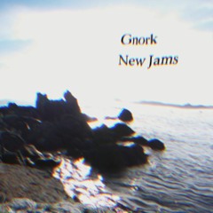 Gnork ~ New Jams EP  (Earth Waves 0011)
