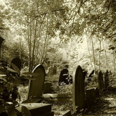 𝖎𝖓 𝖆𝖓𝖔𝖙𝖍𝖊𝖗 𝖑𝖎𝖋𝖊