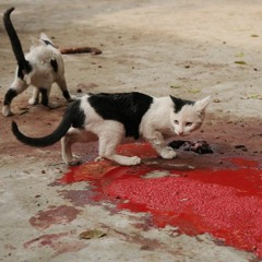 XNXXXNXXXNXXXNXXXNXXXNXXXNXXXNXXXNXX