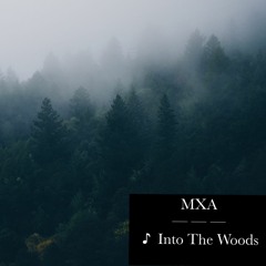 MXA - Into The Woods