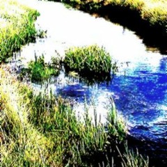 rush of water