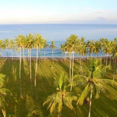 Vacation Instrumental