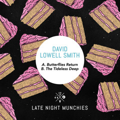 David Lowell Smith - Butterflies Return (Original Mix)