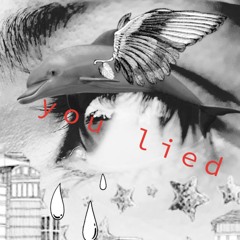 you lied (prod. dxeam)