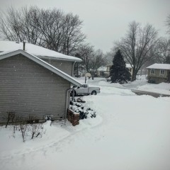 Snow Fall