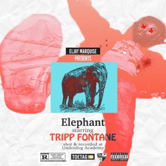 ELEPHANT [Tripp Fontane Diss]