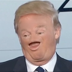 Quality Memes