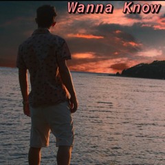 Wanna Know